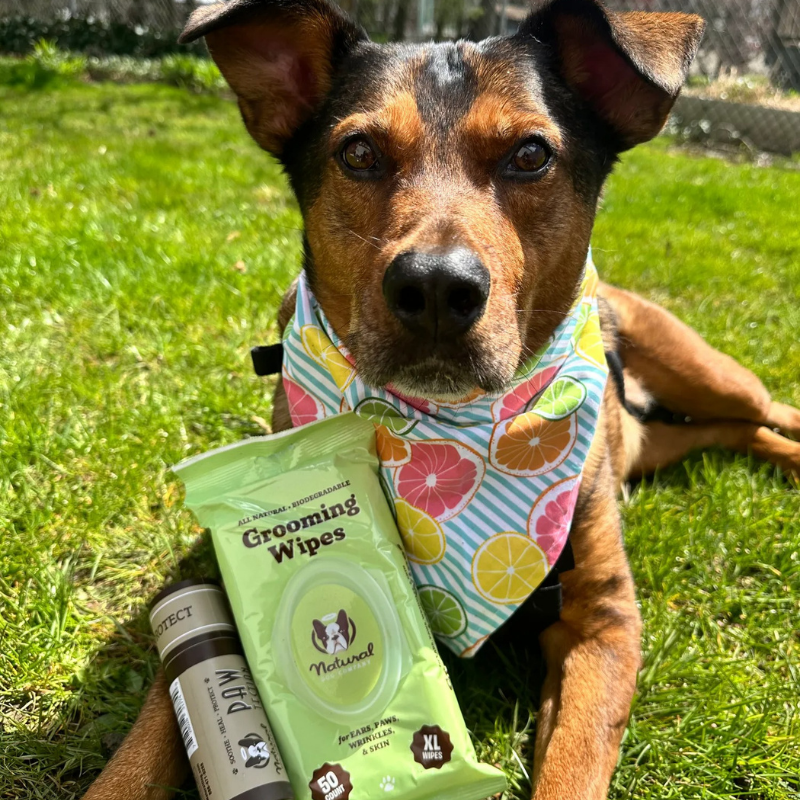 Furville Pet Wipes