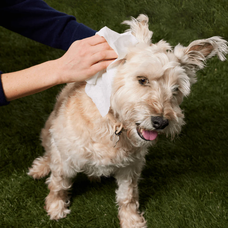 Furville Pet Wipes