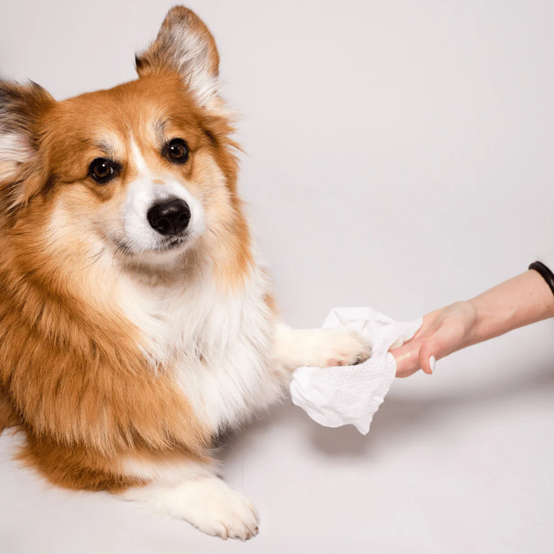 Furville Pet Wipes