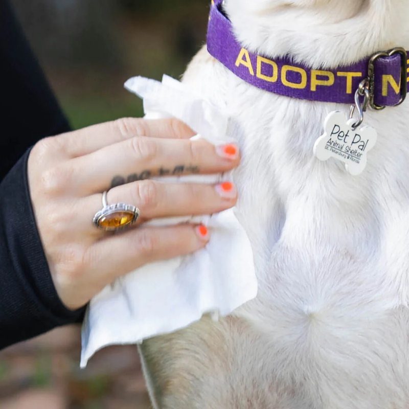 Furville Pet Wipes