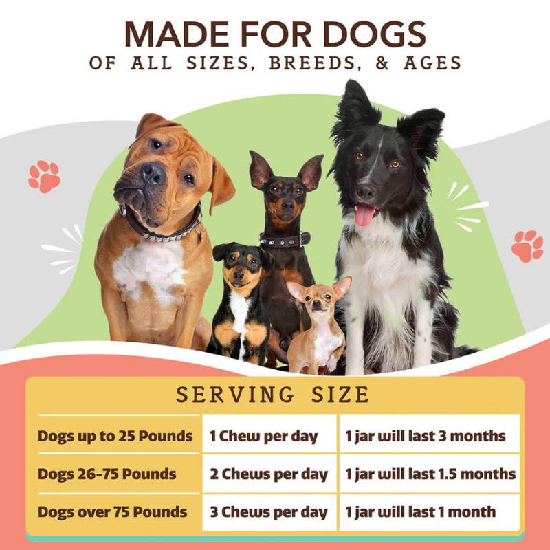 Furville Skin and Coat 90 Chews