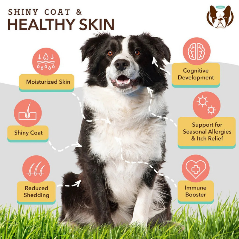 Furville Skin and Coat Oil Salmon Oil