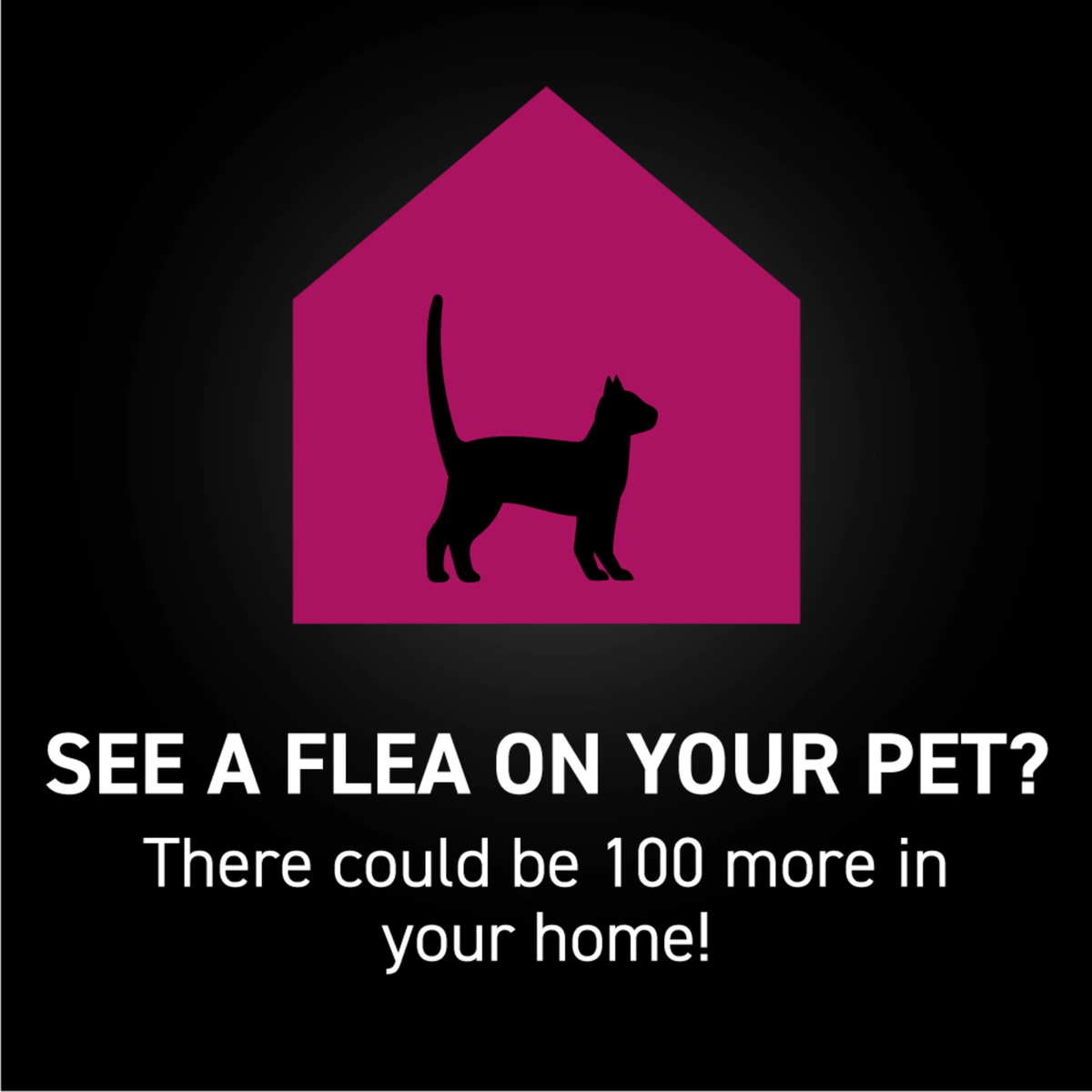 Furville Flea and Tick Cat Topical
