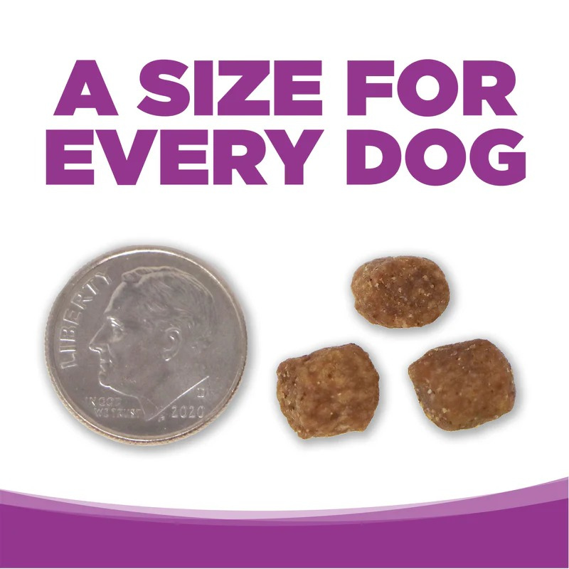 Furville Nutrisource large Breed puppy