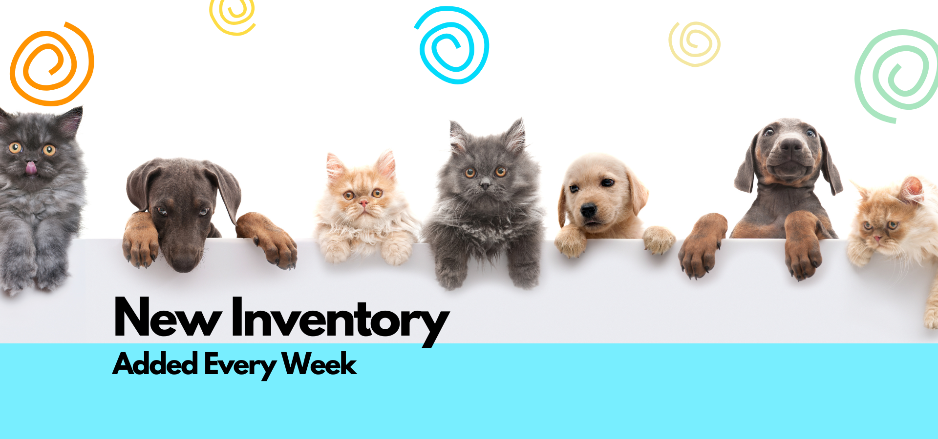 Furville Pet Supplies