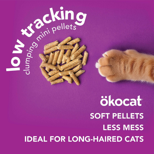 Furville Okocat