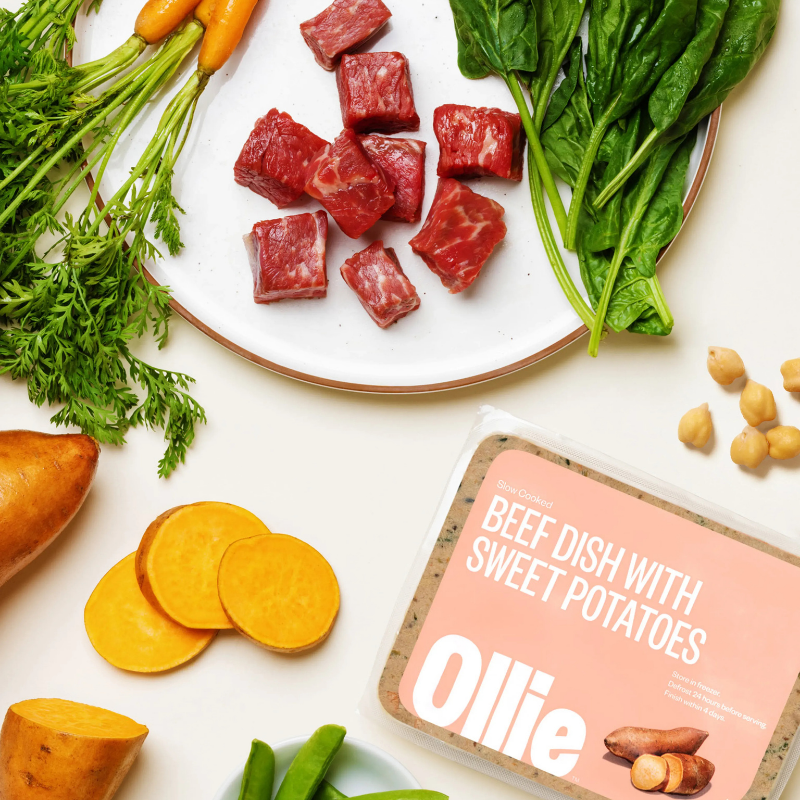 Furville Ollie Fresh Food