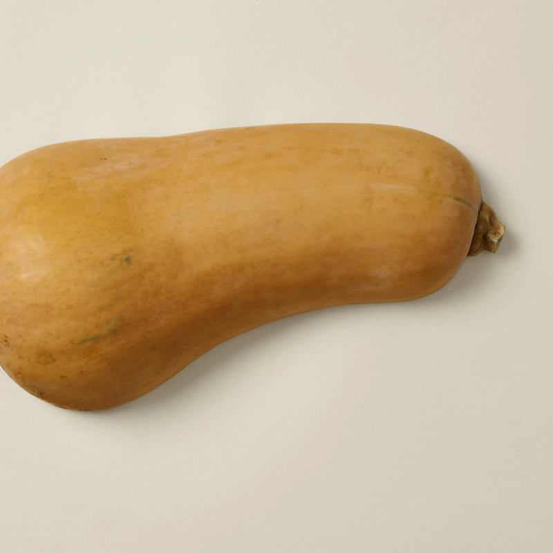 Furville Ollie Fresh Food