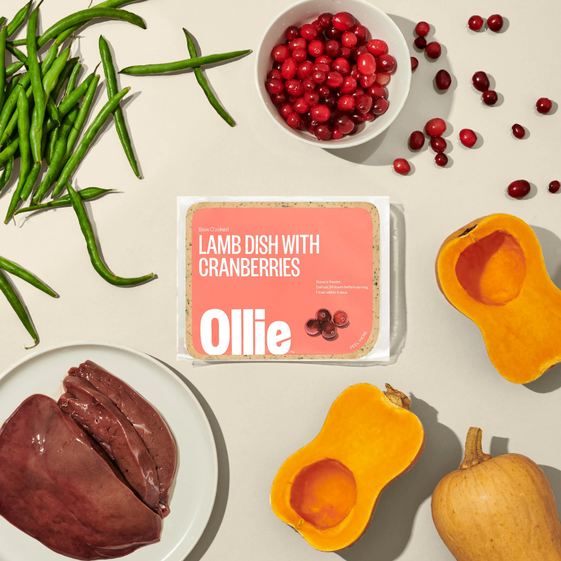 Furville Ollie Fresh Food