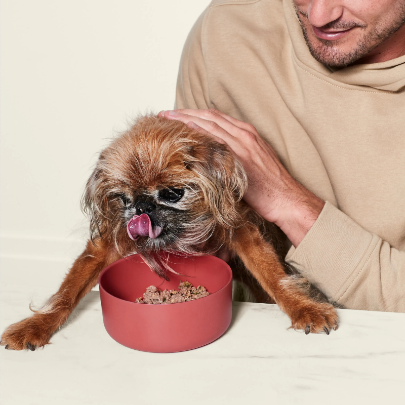 Furville Ollie Fresh Food