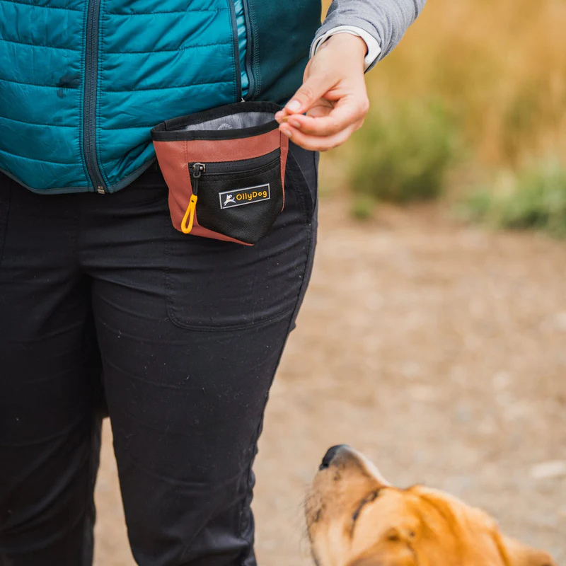 Furville Dog Treat bag