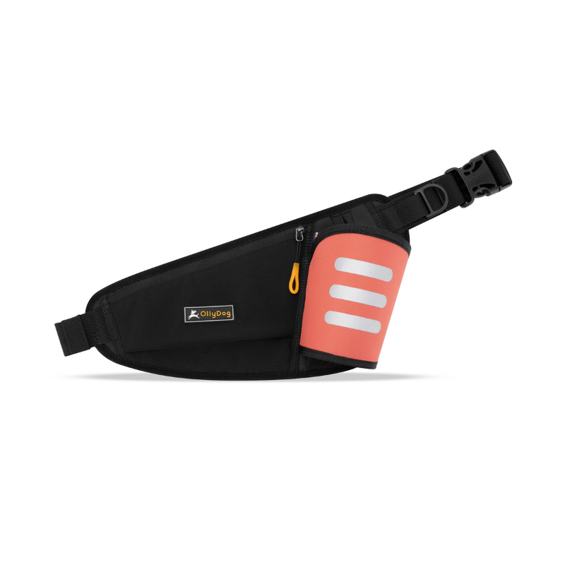 Furville Hydro Slim Treat bag and Bottle Holder