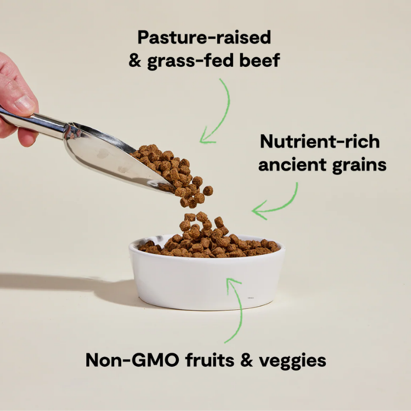 Furville open Farm Beef Recipe Ancient Grains