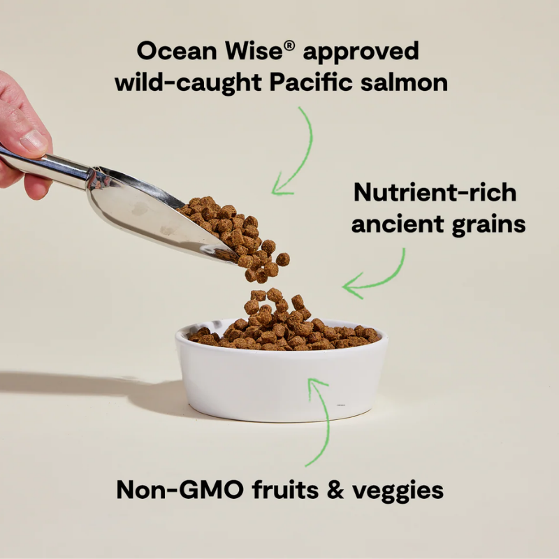Furville Salmon Ancient Grains