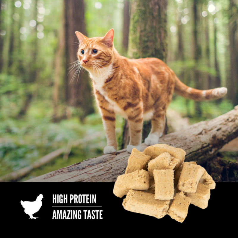 Furville Orijen Cat Treats