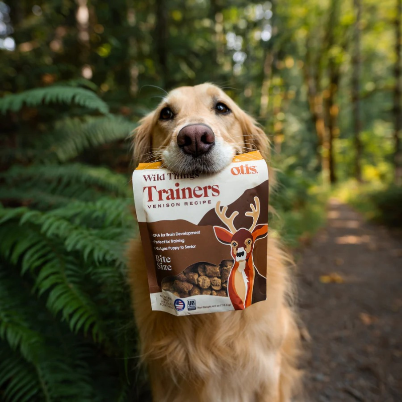 Furville Venison Trainers