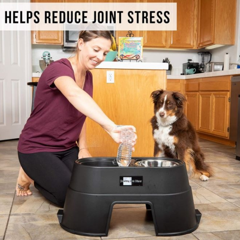 OUR Pets Dog Raised Healthy Diner