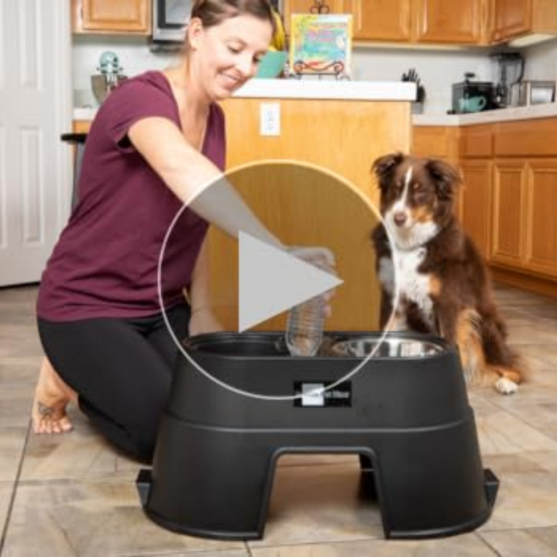 OUR Pets Dog Raised Healthy Diner
