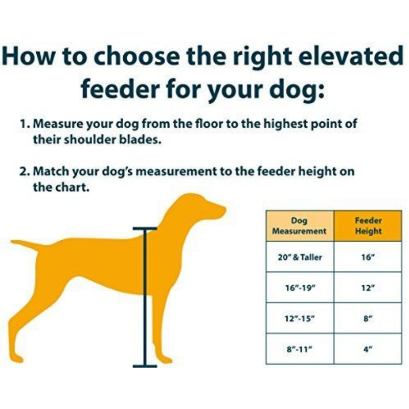 OUR Pets Dog Raised Healthy Diner