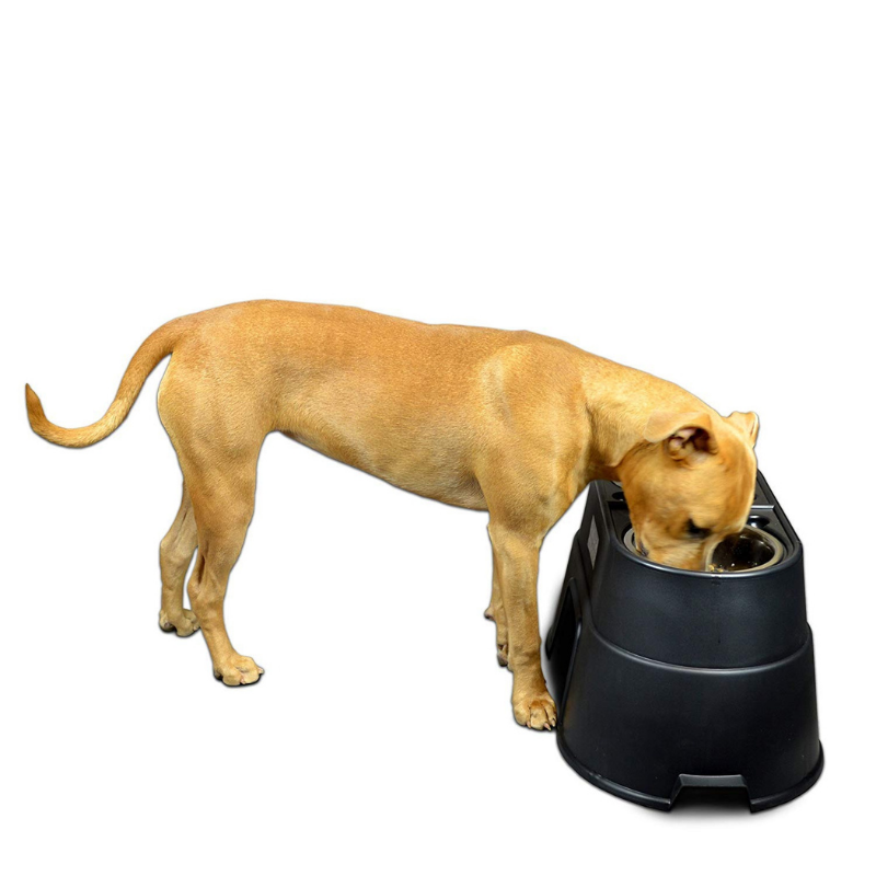 OUR Pets Dog Raised Healthy Diner