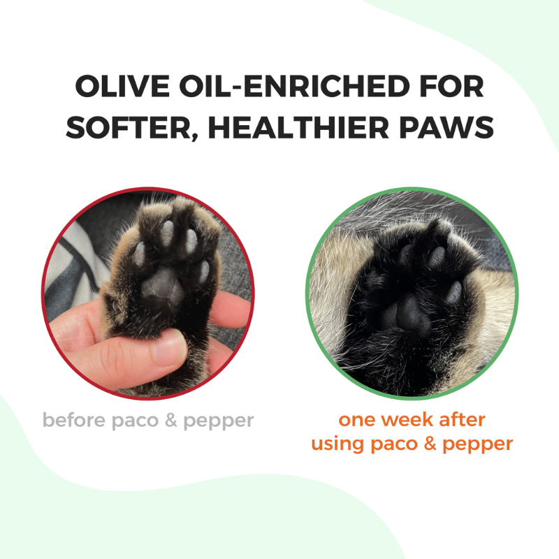 Furville Olive Pits Litter Plant Based