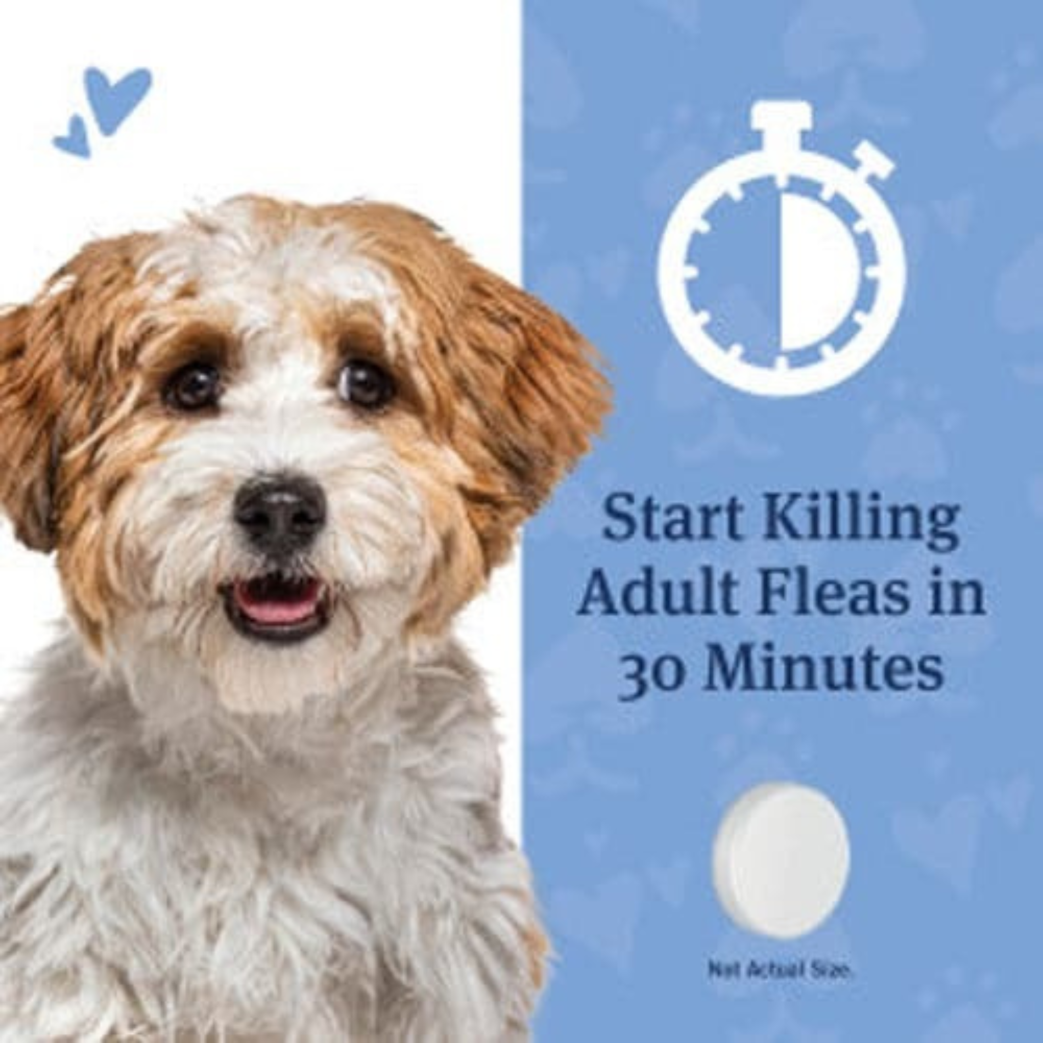 Furville Dog Flea and Tick Tablets