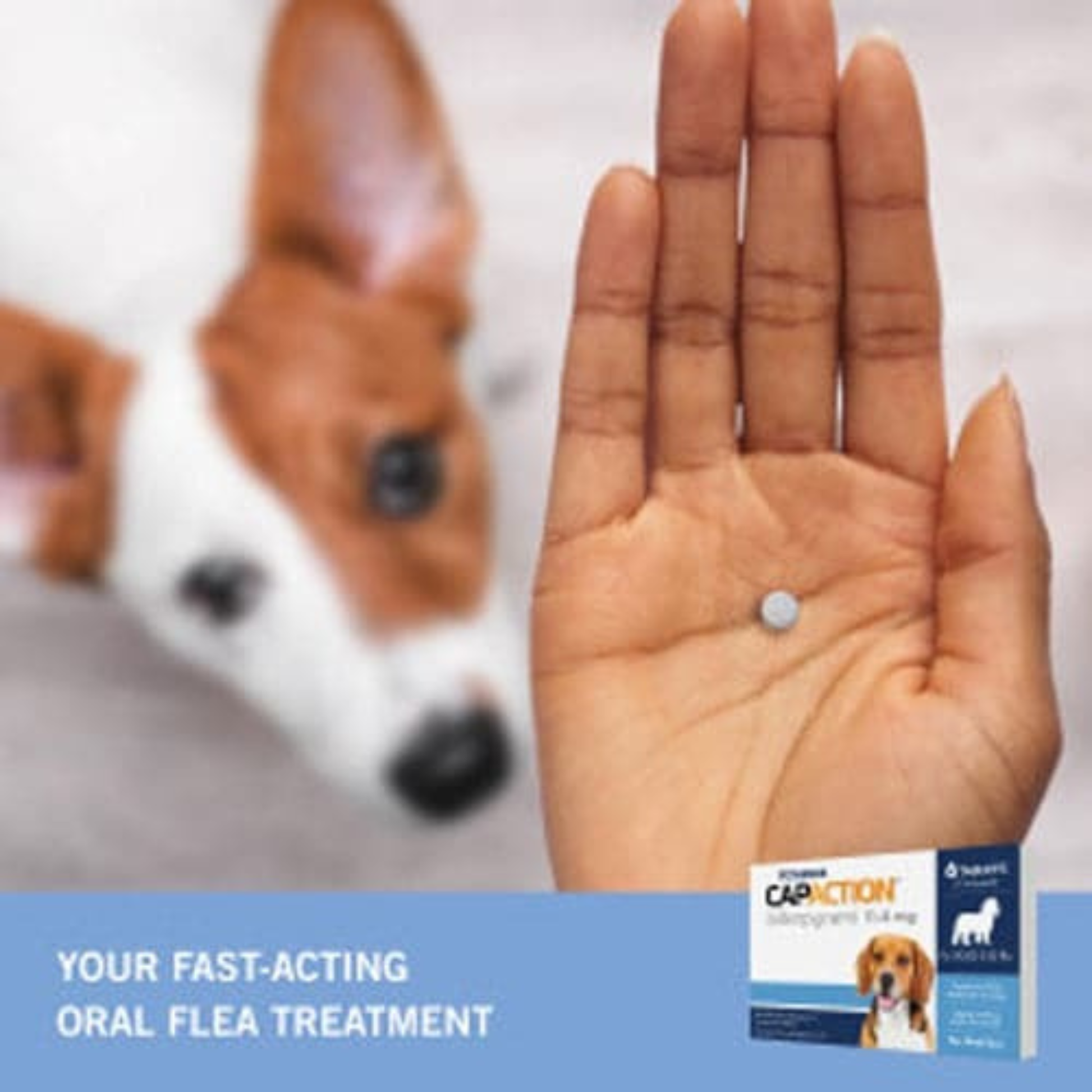 Furville Dog Flea and Tick Tablets