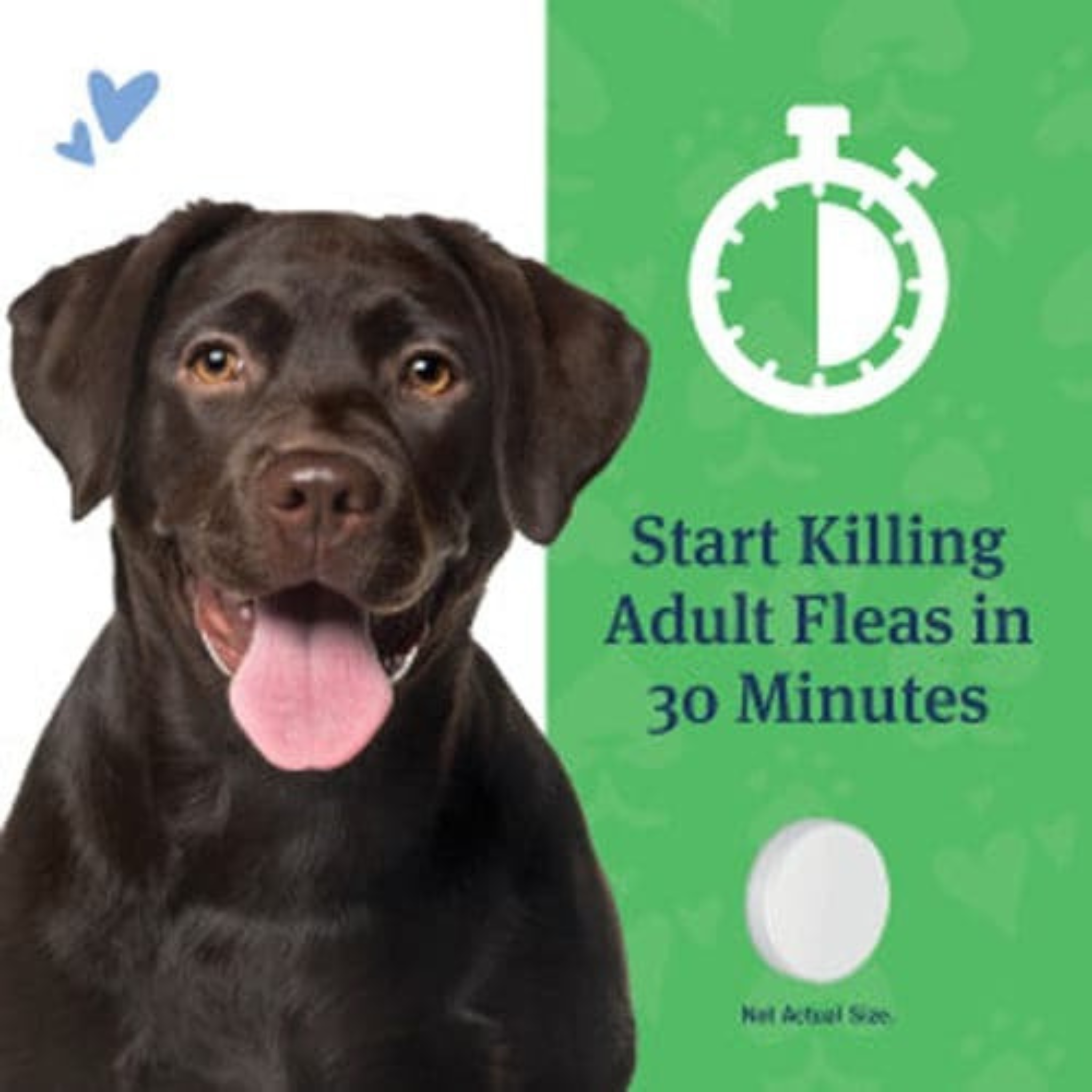 Furville Dog Flea and Tick Tablets