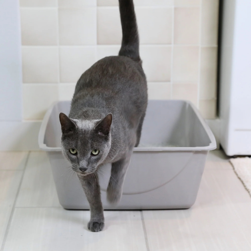 PETMATE Cat Basic Litter Box