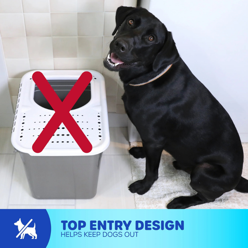 Furville Top Entry Litter Box