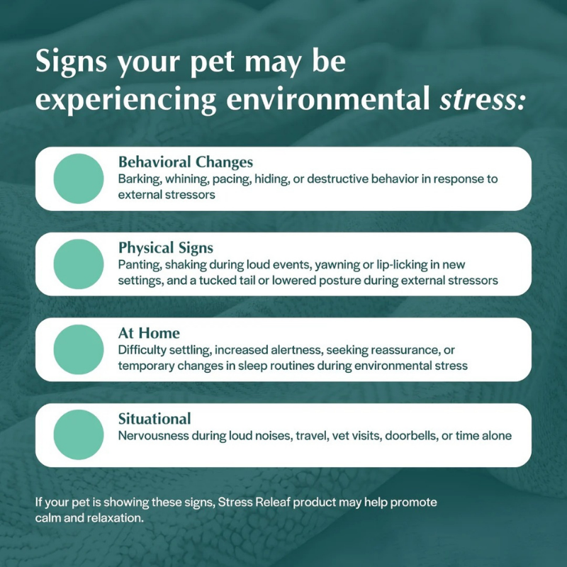 Furville July 4th calming chews