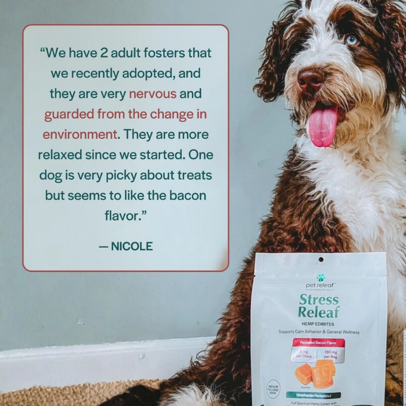 Furville July 4th calming chews