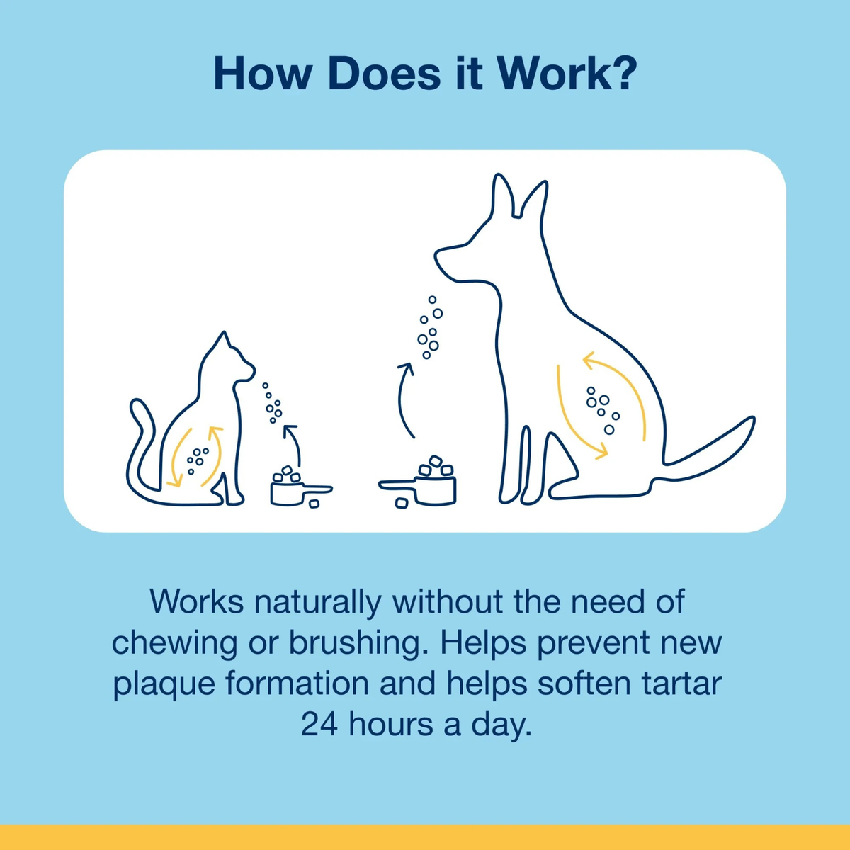 Furville Cat Dental