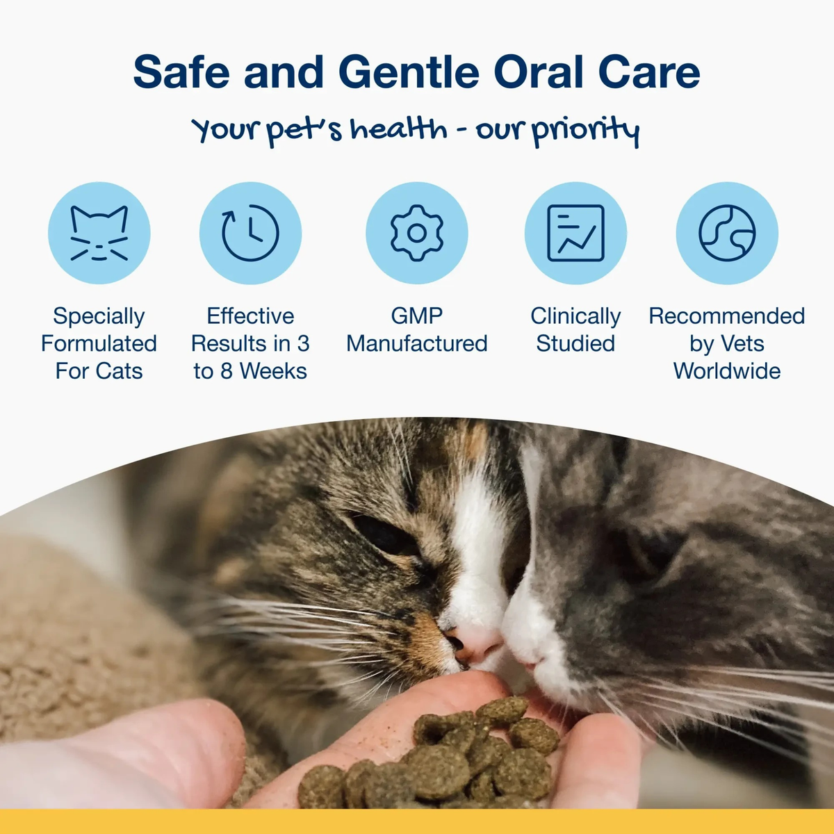 Furville Cat Dental