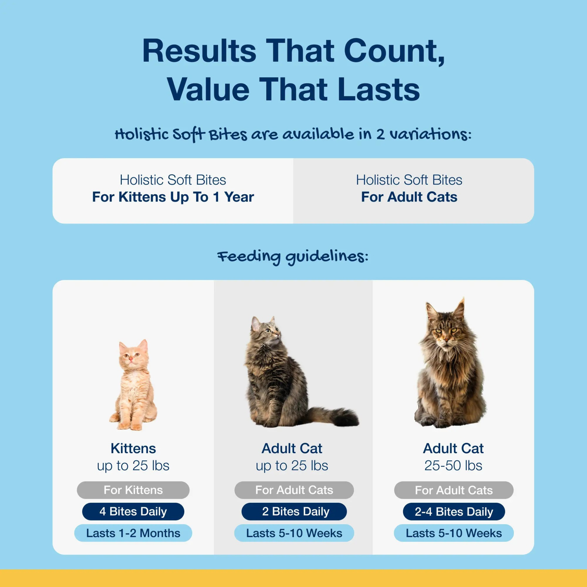 Furville Cat Dental