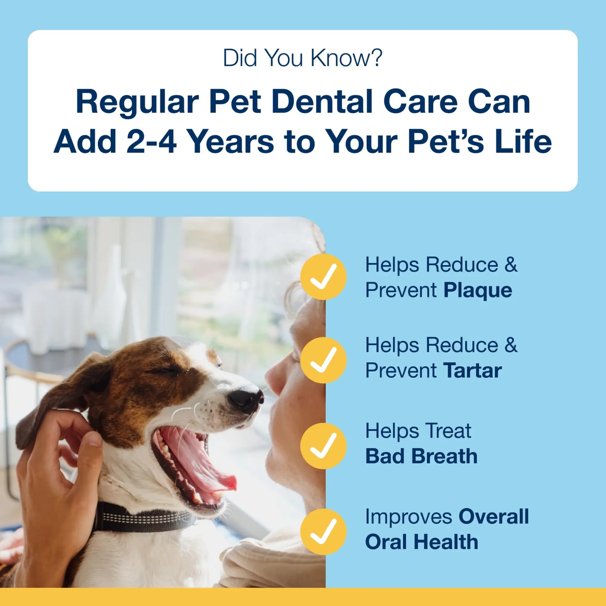 Furville Dental Sticks