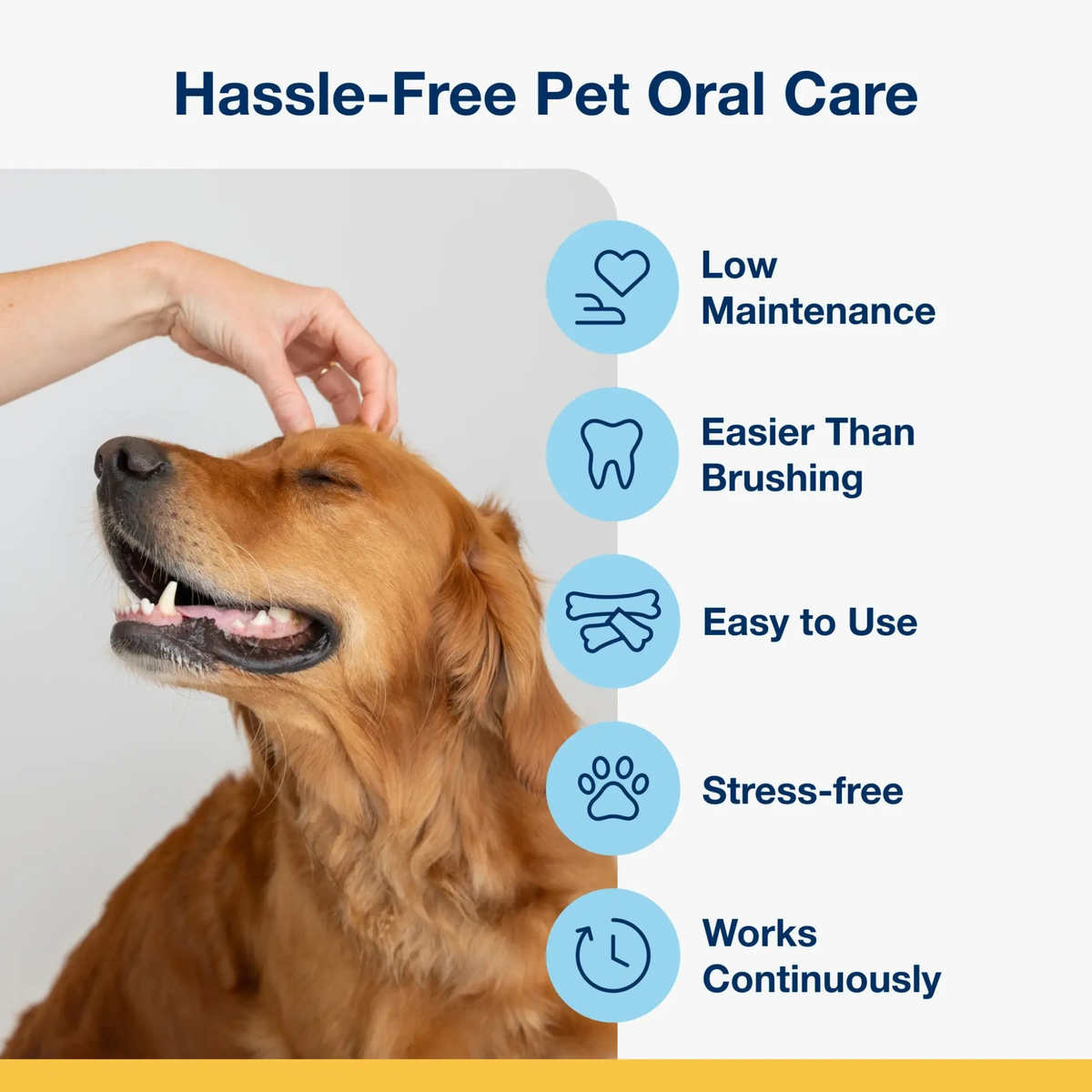 Furville Dental Sticks