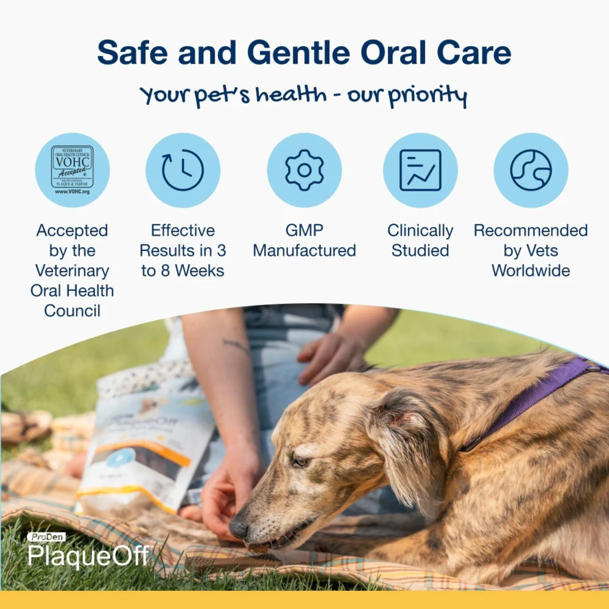 Furville Dental Sticks