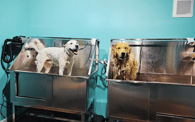 Furville Pet Supplies