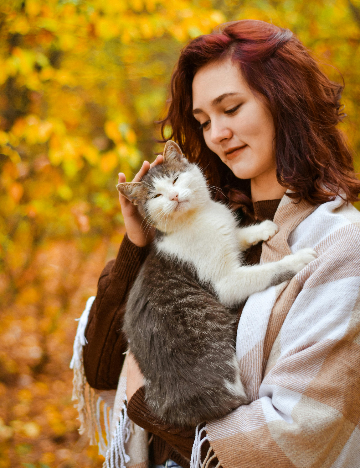 Furville Pet Supplies