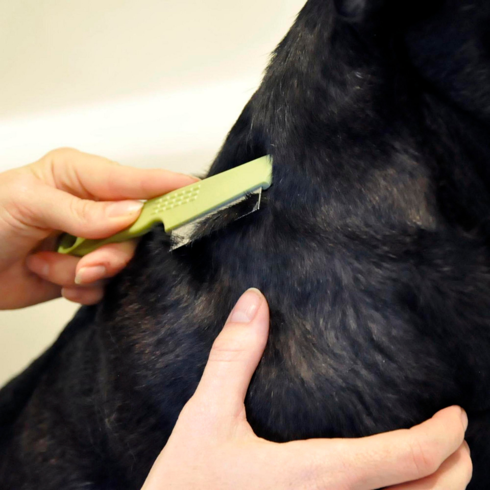 Furville - SAFARI Dog - Flea Comb
