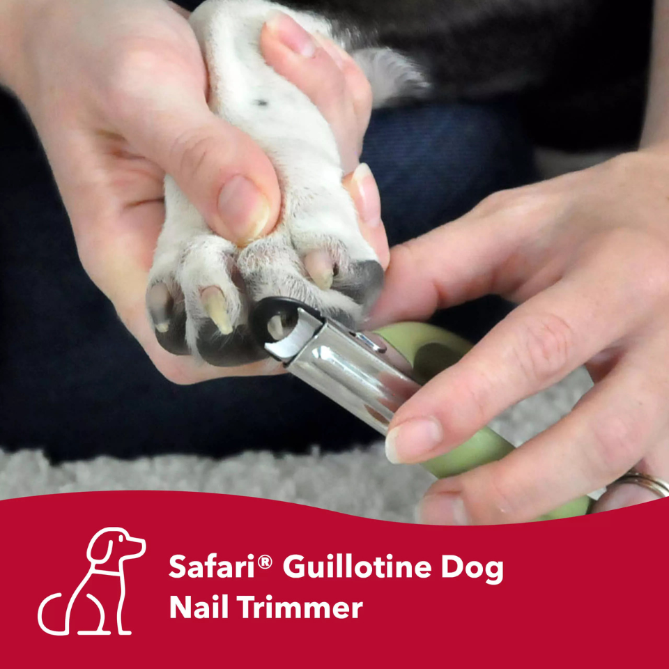 COASTAL Dog - Safari Guillotine Nail Trimmer