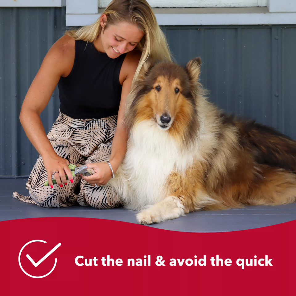Furville Pet Supplies is local pet shop inb Roxborough that carries health conscious products for pets. Same day delivery and fast shipping is available. 