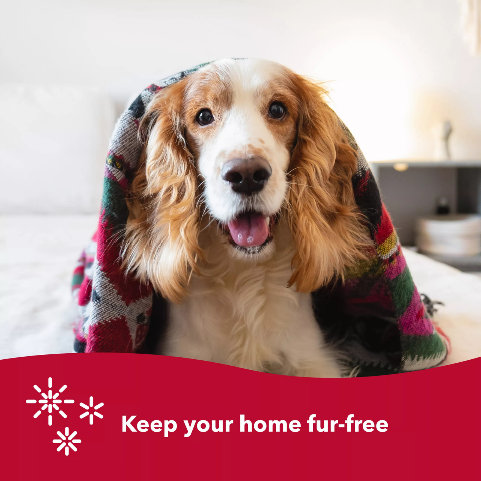 Furville Pet Supplies is local pet shop inb Roxborough that carries health conscious products for pets. Same day delivery and fast shipping is available. 