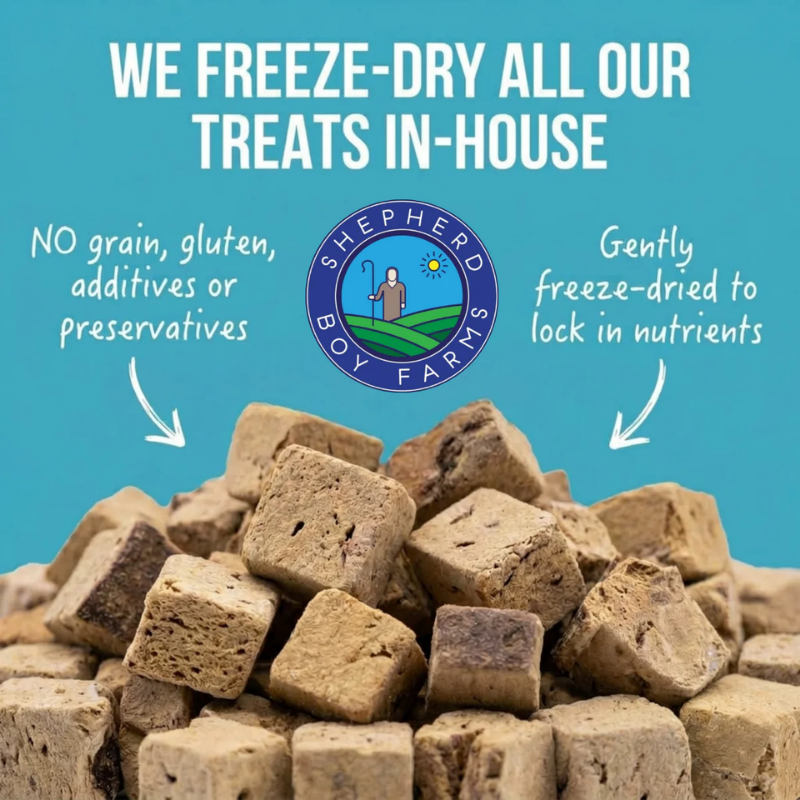 Shepherd Boy Farms Freeze Dried Bison Liver