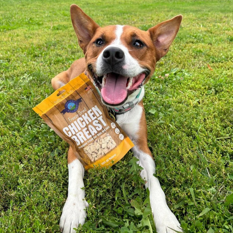 Furville Freeze Dried Treats