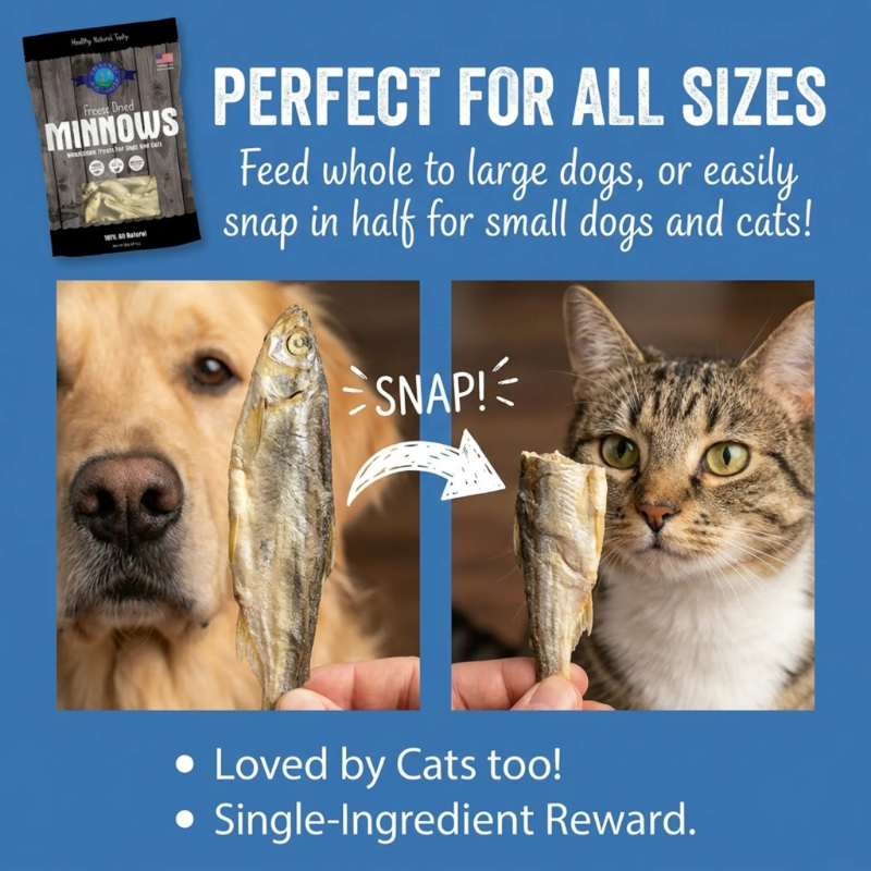 Shepherd Boy Farms Freeze Dried Minnows