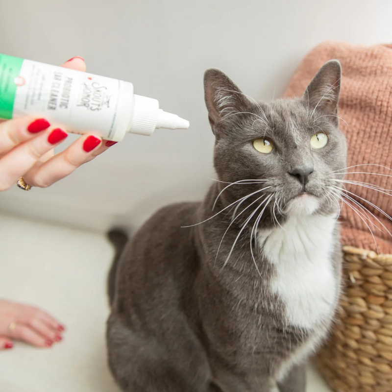 Furville Probiotic Ear Cleaner