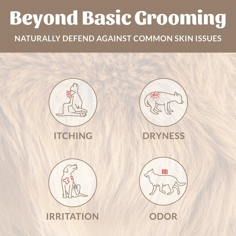 SKOUTS HONOR Dog The Woods Shampoo Conditioner