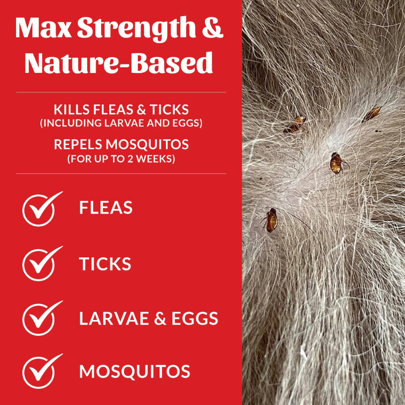 Furville Flea and Tick Shampoo
